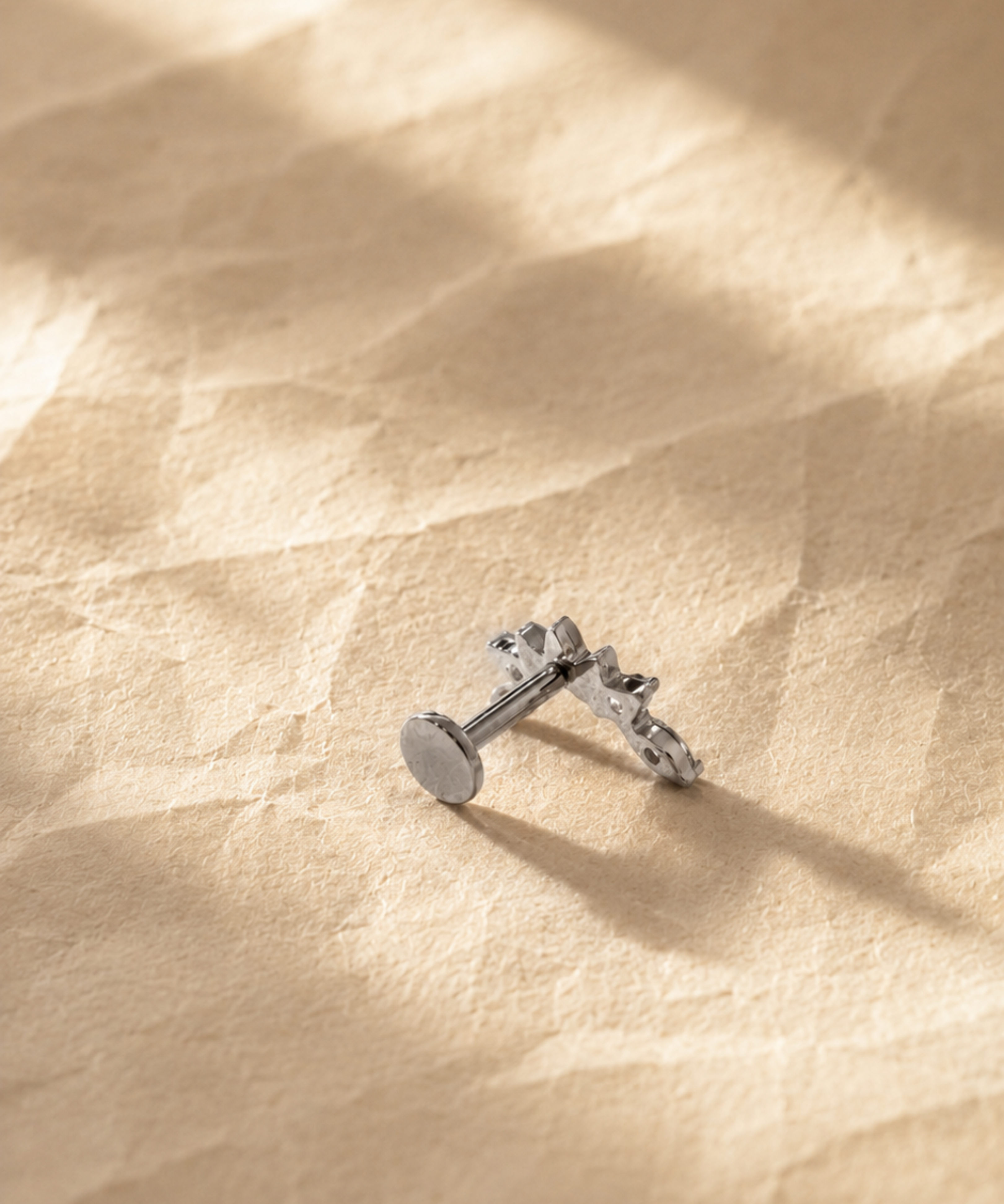 Titanium Aurora Wing Piercing